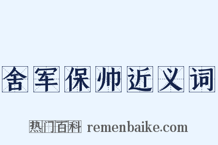 舍军保帅近义词是什么意思的图片